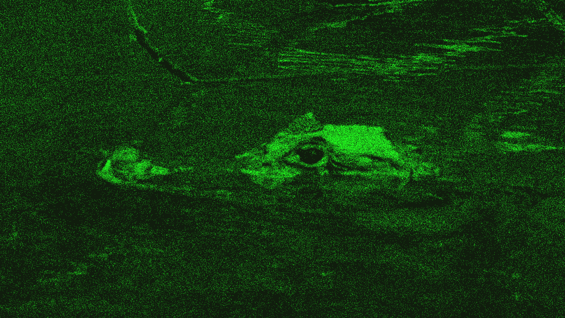 Crocodile