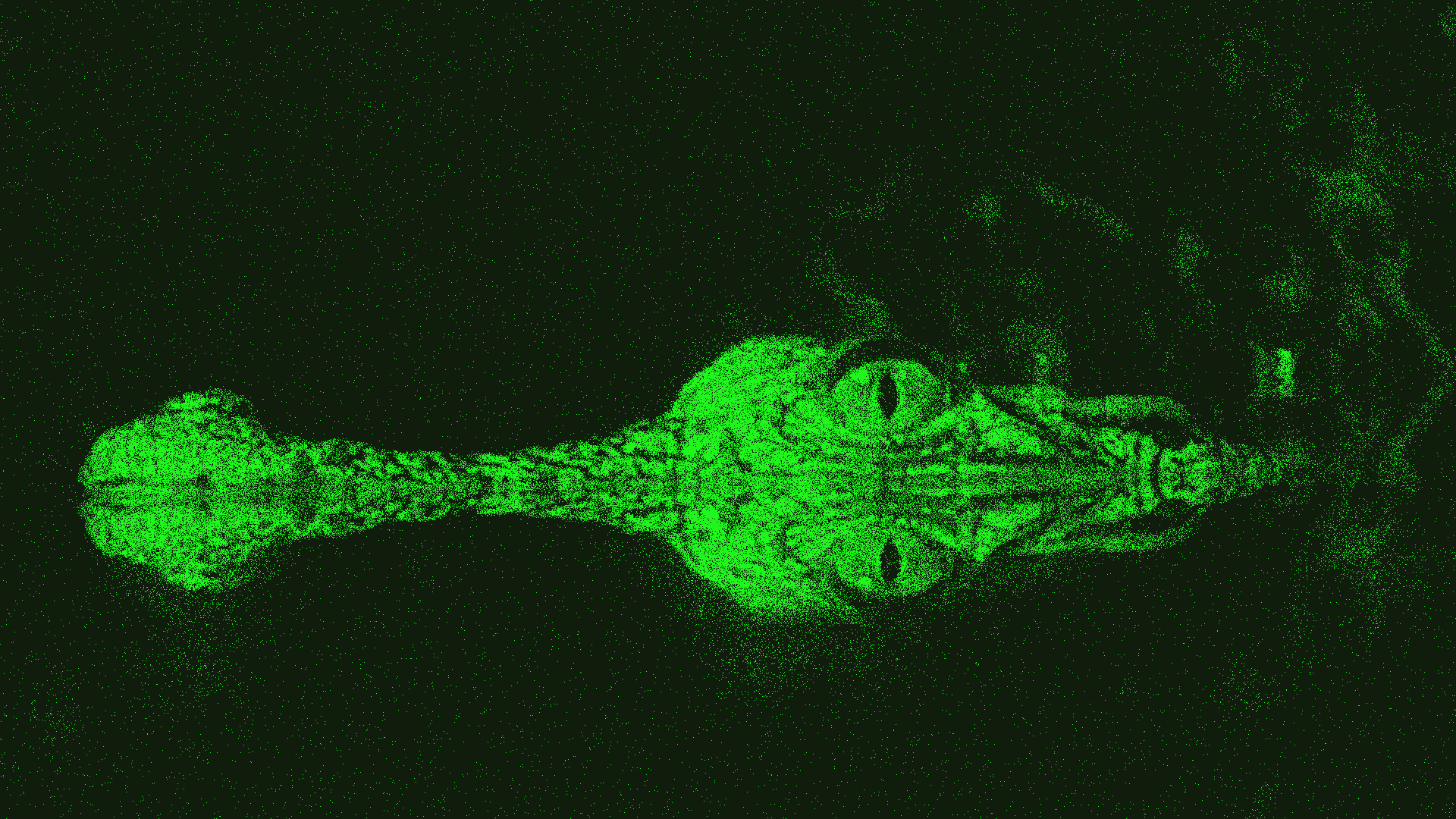 Crocodile